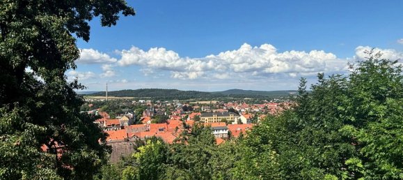  Land in Harz, Germany No. 152819 6