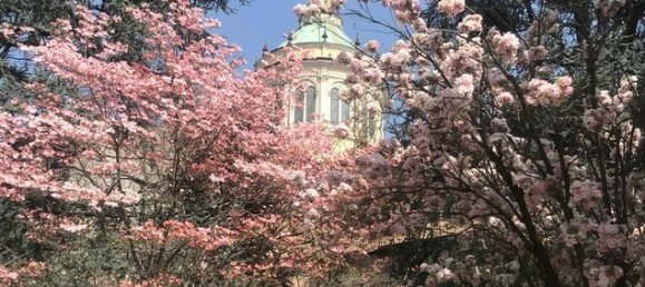 2 Schlafzimmer Wohnung in Magenta, Italy, Nr. 379794 15
