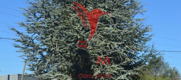 Casa de 9 dormitorios en Palmela, Portugal No. 124729 19