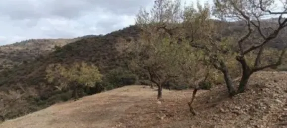  قطعة أرض في Malaga, Spain رقم 155542 12