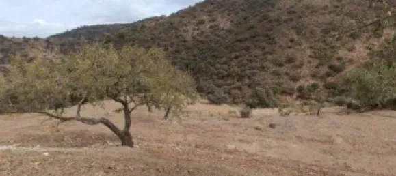  قطعة أرض في Malaga, Spain رقم 155542 9