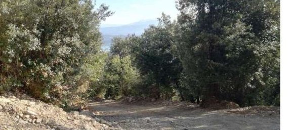 21081m² Land in La Spezia, Italy No. 273764 6