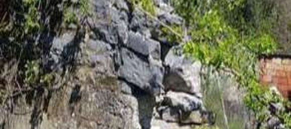 21081m² Land in La Spezia, Italy No. 273764 4