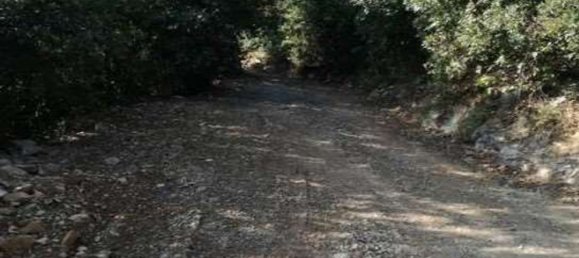 21081m² Land in La Spezia, Italy No. 273764 5