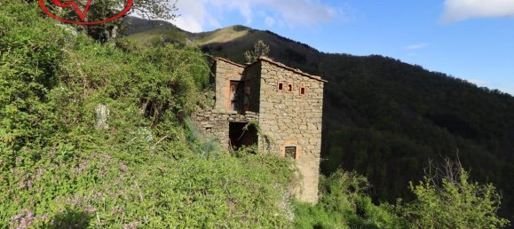 3-Zimmer Haus in Loro Ciuffenna, Italy, Nr. 233658 4