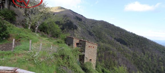 3-Zimmer Haus in Loro Ciuffenna, Italy, Nr. 233658 5