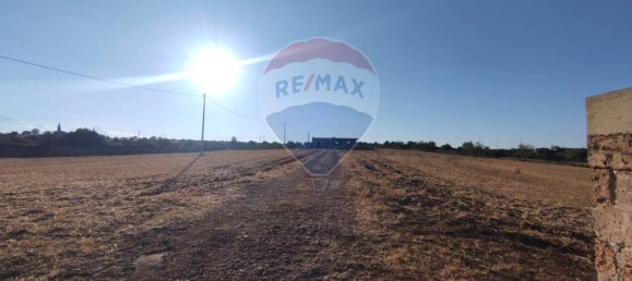 3غرفة منزل في Laterza, Italy رقم 342322 15