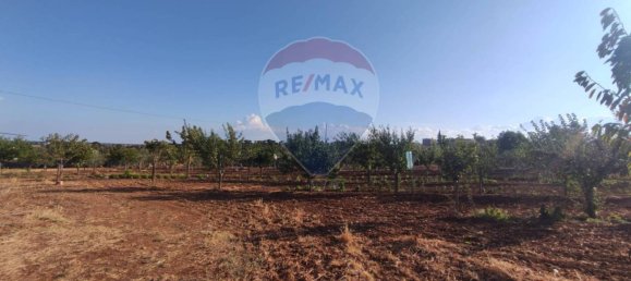 3غرفة منزل في Laterza, Italy رقم 342322 19