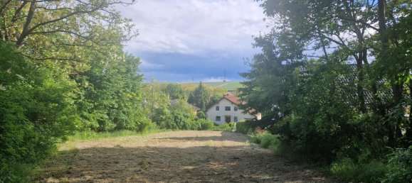 Grundstück in Sierndorf, Austria, Nr. 137169 10
