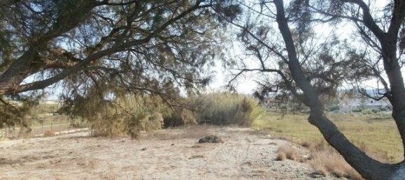 Hôtel à Chania, Greece 4665m² No. 886 11