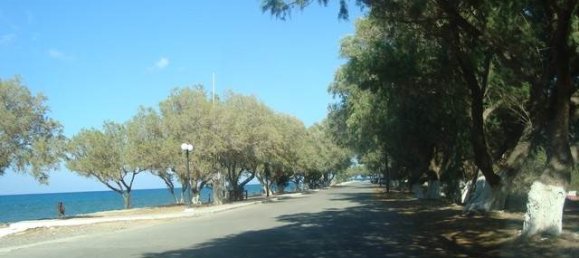 قطعة أرض في Chania, Greece 4665متر مربع رقم 886 12