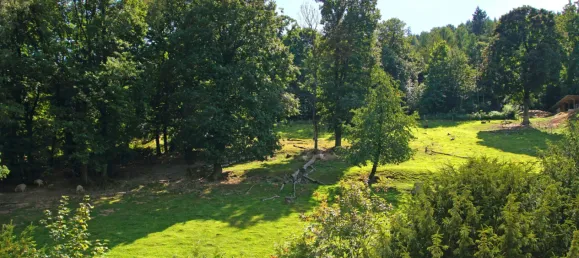 Villa de 9 dormitorios en Heidelberg, Germany No. 280750 20