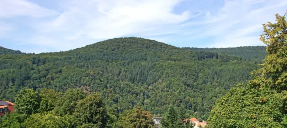 Villa de 9 dormitorios en Heidelberg, Germany No. 280750 21