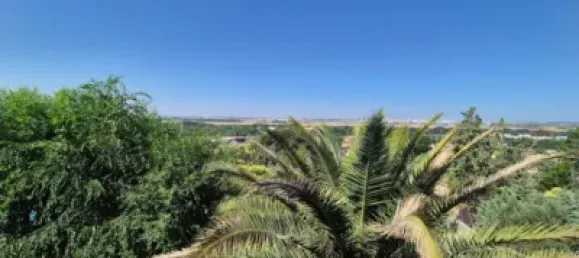 5 bedrooms House in Paracuellos de Jarama, Spain No. 159637 17