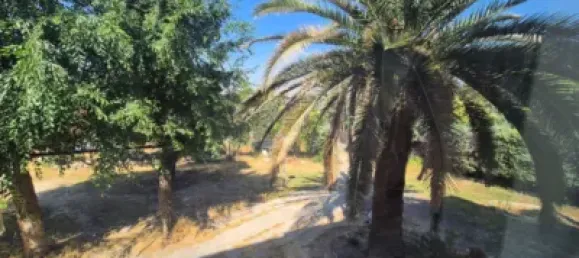 5 bedrooms House in Paracuellos de Jarama, Spain No. 159637 18