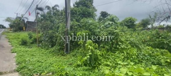 Terreno en South Kuta, Indonesia 650 m² No. 4105 4