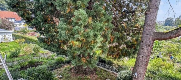 Adosado de 6 dormitorios en Konstanz, Germany No. 276849 25