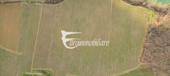 7 rooms House in Castiglione del Lago, Italy No. 110539 36