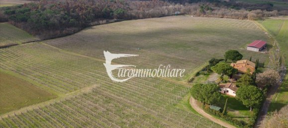 7 rooms House in Castiglione del Lago, Italy No. 110539 38