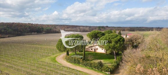 7 rooms House in Castiglione del Lago, Italy No. 110539 39