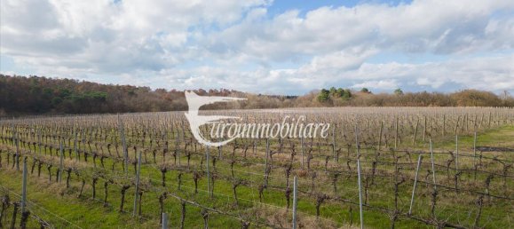 7 rooms House in Castiglione del Lago, Italy No. 110539 21