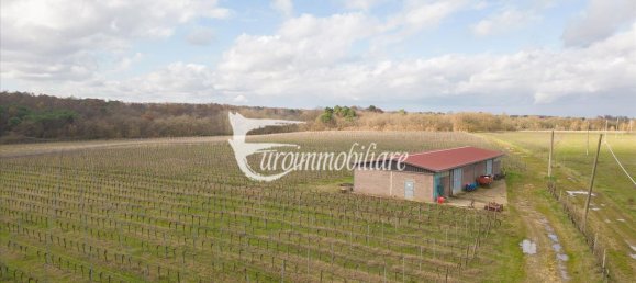 7 rooms House in Castiglione del Lago, Italy No. 110539 22