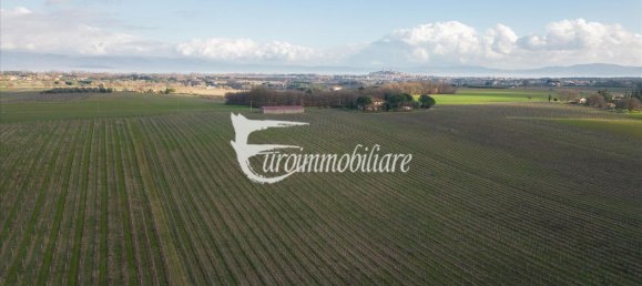 7 rooms House in Castiglione del Lago, Italy No. 110539 25