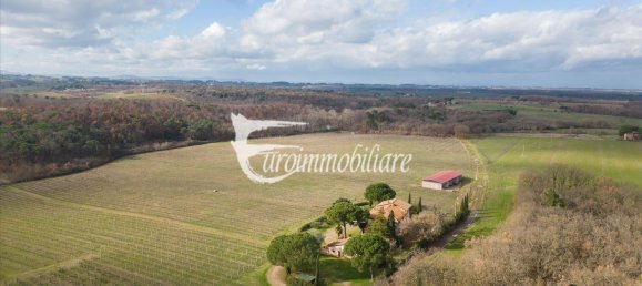 7 rooms House in Castiglione del Lago, Italy No. 110539 5