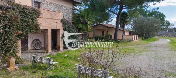 7 rooms House in Castiglione del Lago, Italy No. 110539 10