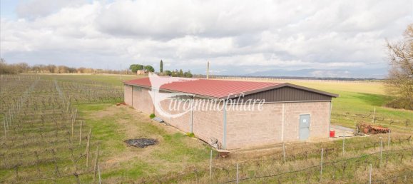 7 rooms House in Castiglione del Lago, Italy No. 110539 41