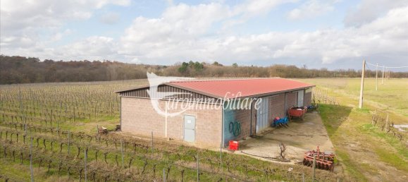 7 rooms House in Castiglione del Lago, Italy No. 110539 40