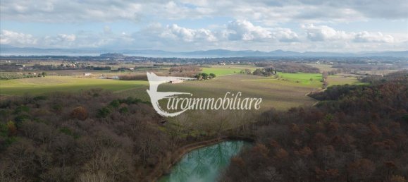 7 rooms House in Castiglione del Lago, Italy No. 110539 3