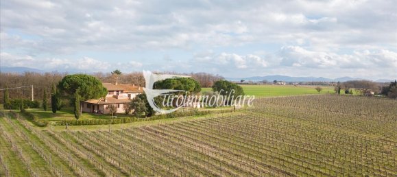 7 rooms House in Castiglione del Lago, Italy No. 110539 23