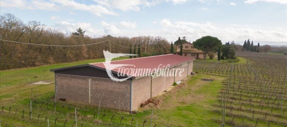 7 rooms House in Castiglione del Lago, Italy No. 110539 42