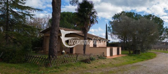 7 rooms House in Castiglione del Lago, Italy No. 110539 12