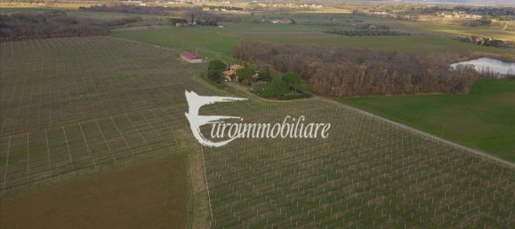 7 rooms House in Castiglione del Lago, Italy No. 110539 31