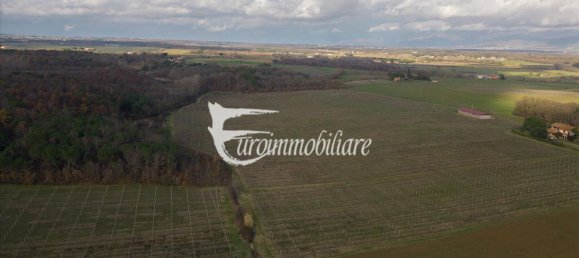 7 rooms House in Castiglione del Lago, Italy No. 110539 30