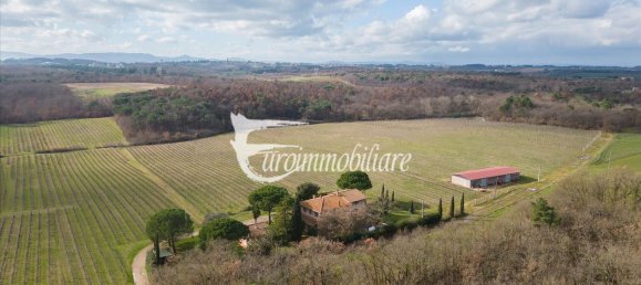 7 rooms House in Castiglione del Lago, Italy No. 110539 6