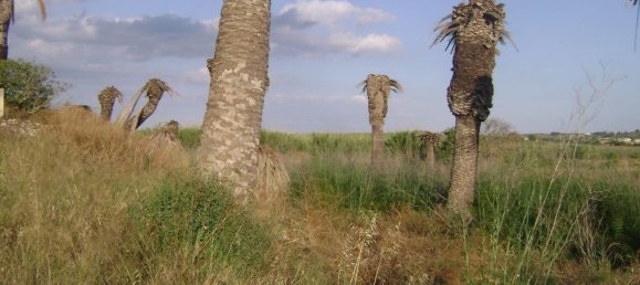 Estúdio em Noto, Italy N.º 67844 3