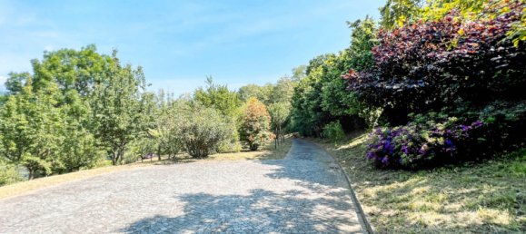 5 rooms Villa in Pettenasco, Italy No. 173400 11