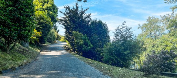 5 rooms Villa in Pettenasco, Italy No. 173400 10