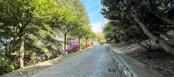 5 rooms Villa in Pettenasco, Italy No. 173400 16