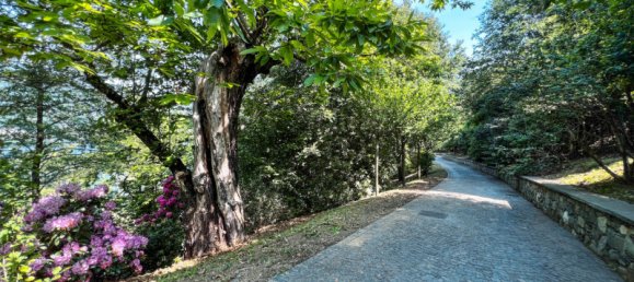 5 rooms Villa in Pettenasco, Italy No. 173400 3