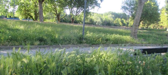 3 rooms Apartment in Moncalieri, Italy No. 88006 3