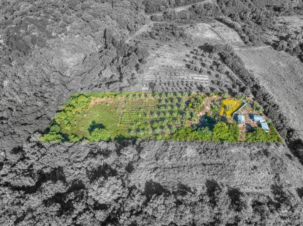  Land in Azambuja, Portugal No. 333957