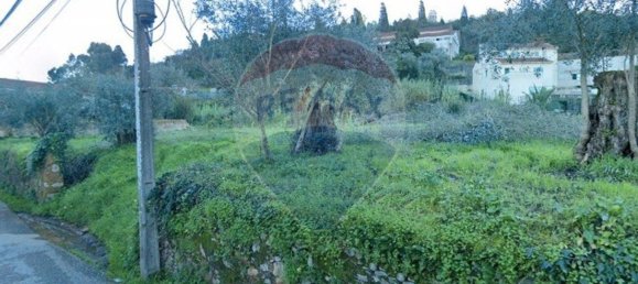 Grundstück in Anadia, Portugal 2000m², Nr. 36530 6