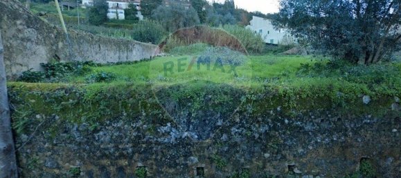 Grundstück in Anadia, Portugal 2000m², Nr. 36530 5