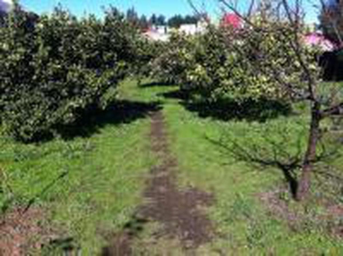 4 bedrooms House in Valparaiso, Chile No. 2380