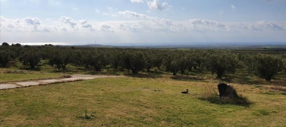 4 bedrooms Villa in Chalkidiki, Greece No. 1445 2