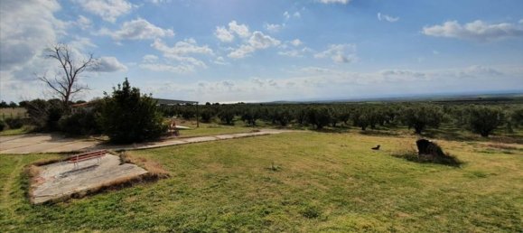 4 bedrooms Villa in Chalkidiki, Greece No. 1445 13